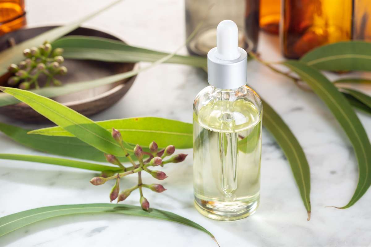 Plant-based Aromatherapy for snooring remedies